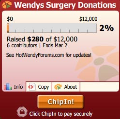 Wendy Williams Surgery Donations Ticker