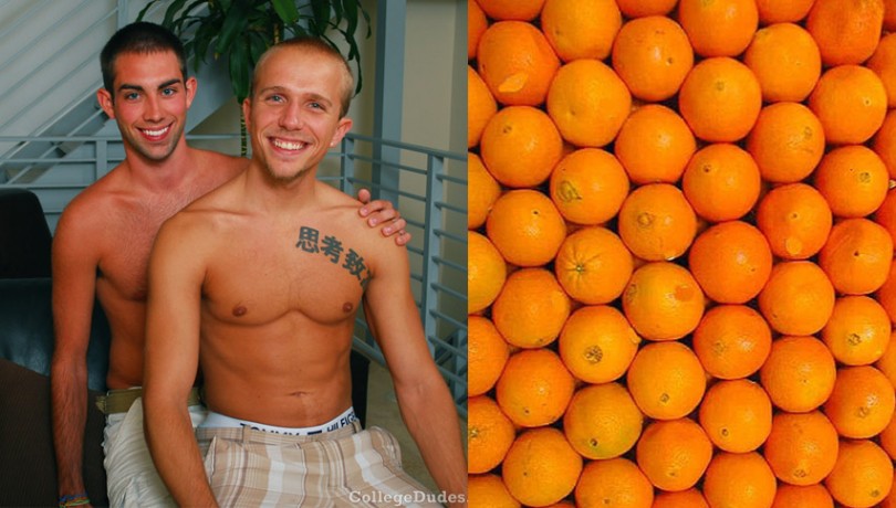 Oranges Gay 31