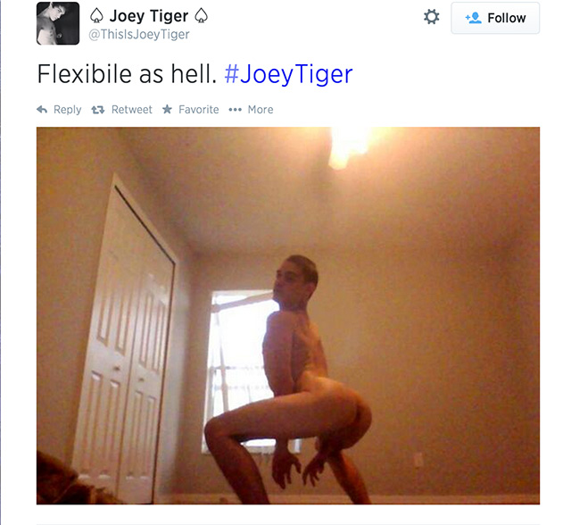 joey-tiger-twitter-1