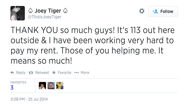 joey-tiger-twitter-11