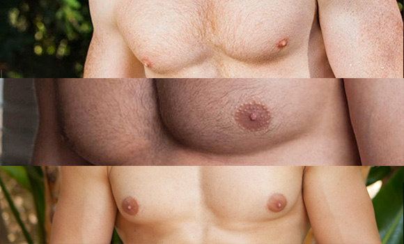 https://www.thesword.com/wp-content/uploads/2014/05/best-nipples-final-round.jpg