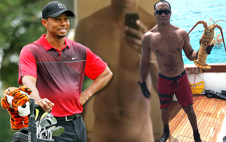 CelebrityCock Tiger Woods