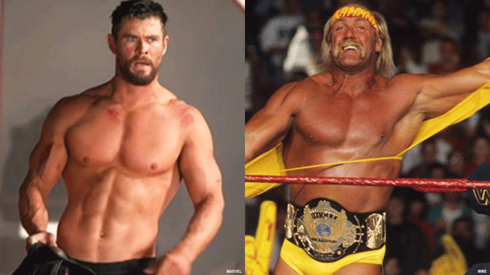 Chris Hemsworth, Hulk Hogan, Netflix