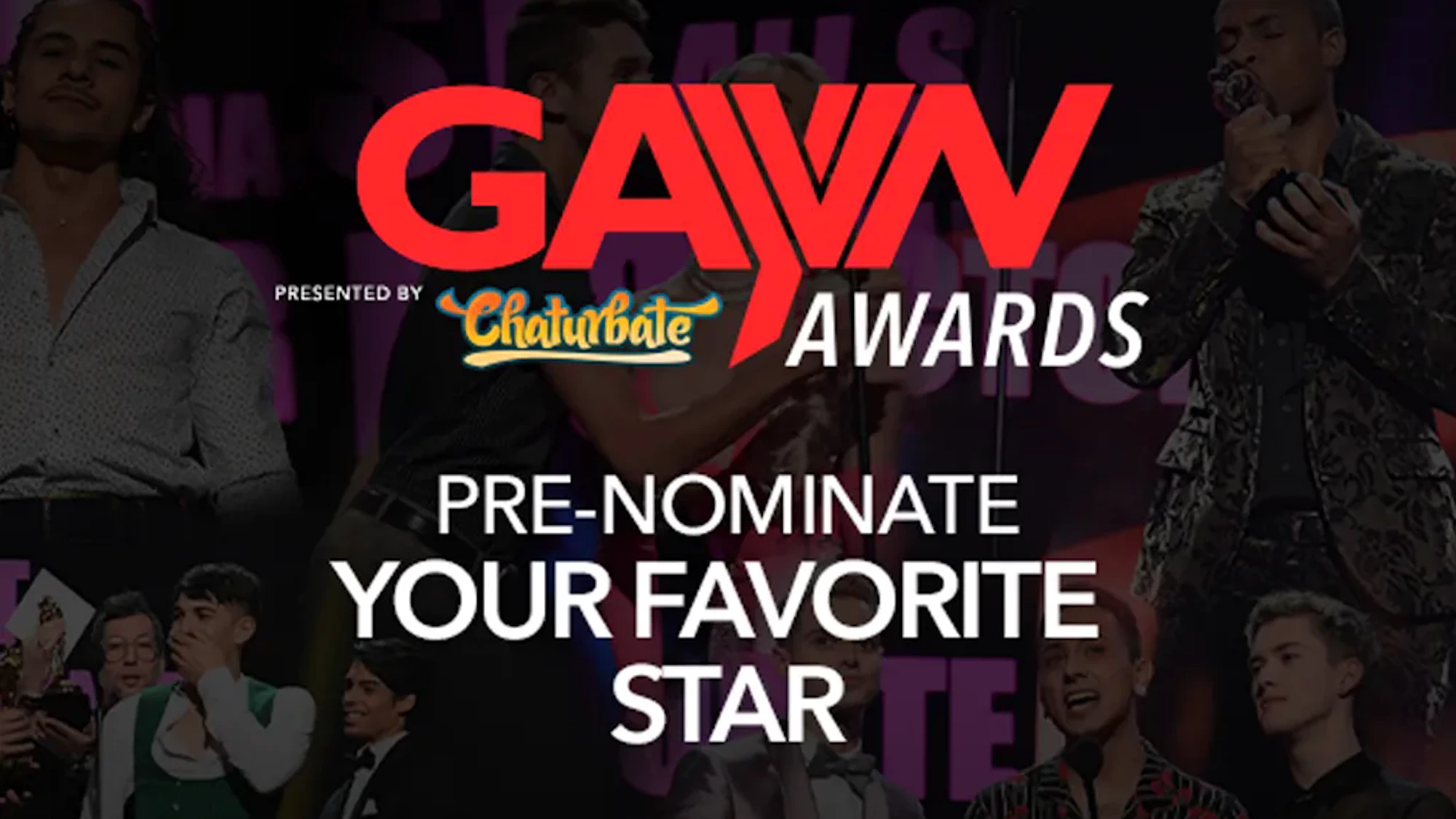 GayVN Awards