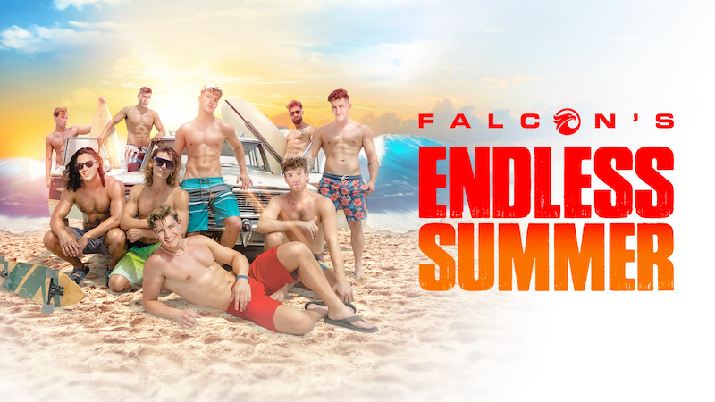 Falcon's Endless Summer