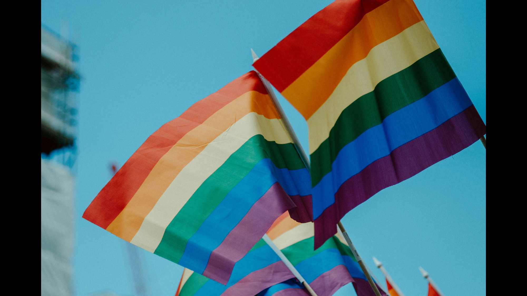 Pride flags