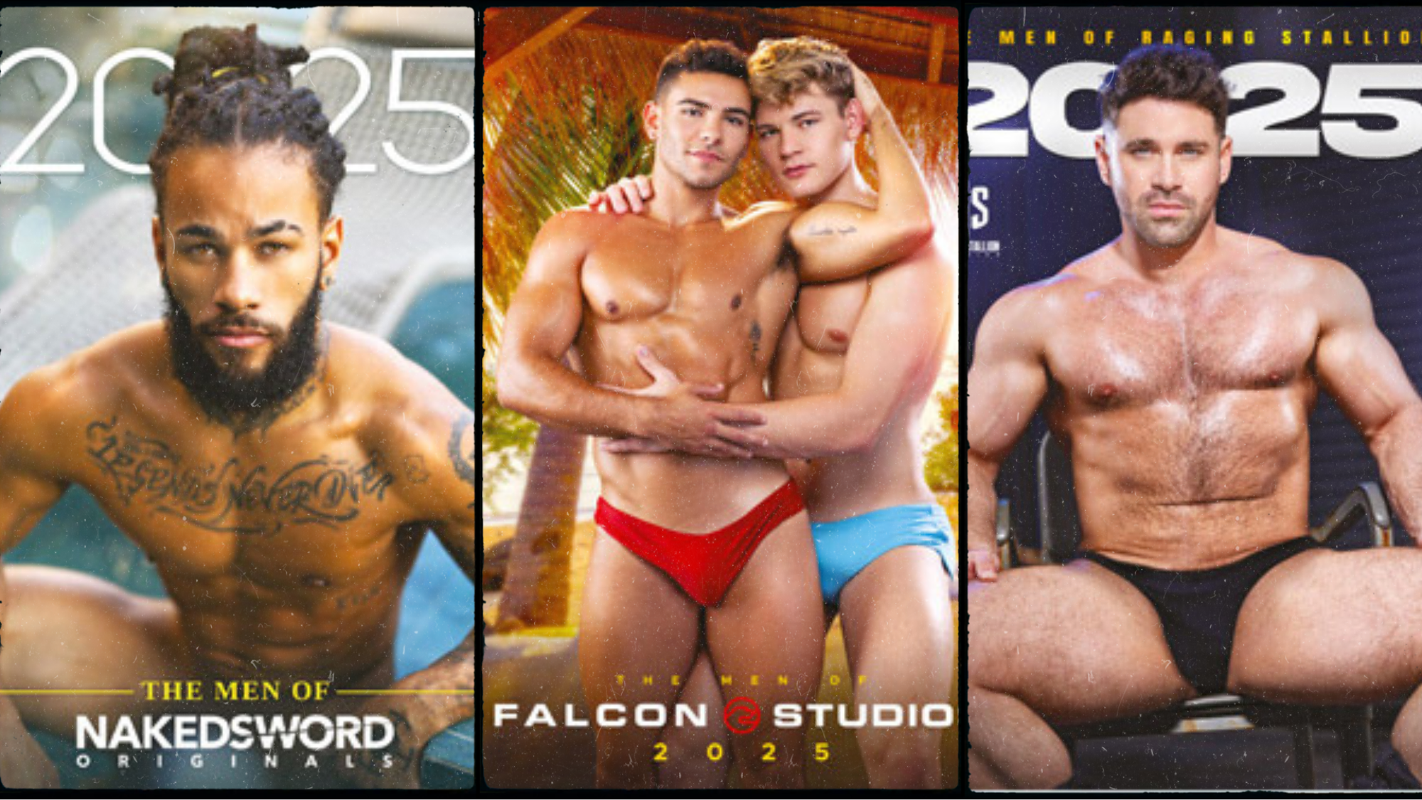 2025 gay porn star calendars from Falcon, NakedSword, Hot House, and Raging Stallion.